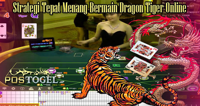 Strategi Tepat Menang Bermain Dragon Tiger Online